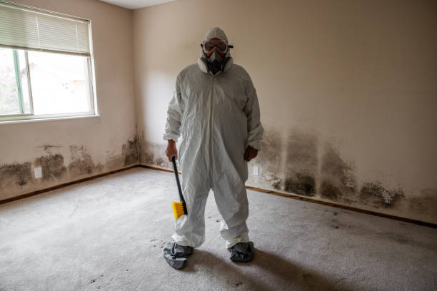 Mold Remediation for Rental Properties in Cypress Landing, NC